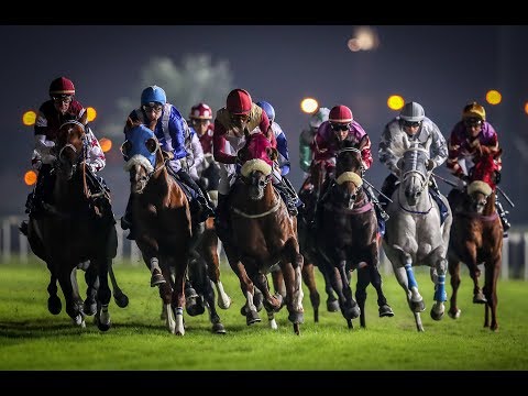 25th Race Meeting of Season 2018/2019