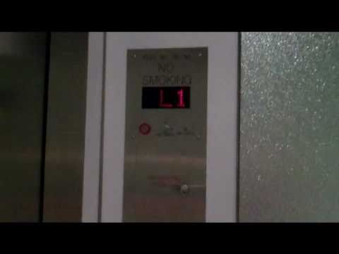 Rockin' the Gauntlet: Natick Mall (Natick, MA)