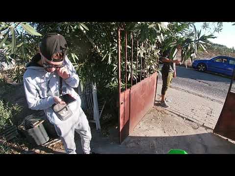 landim ft chyna (Mente sta longe) • voltinha soft