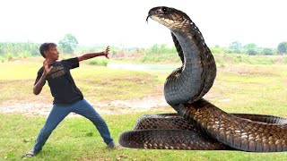 Anaconda Snake 2| in Real Life HDVideo | Snake Video | Snake | Anaconda | vfx pabna tv