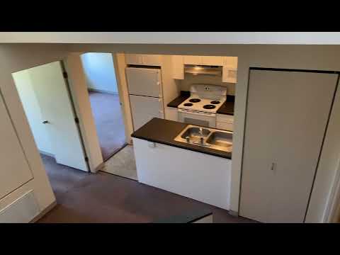 699 W. Mifflin Street, Apt. 311