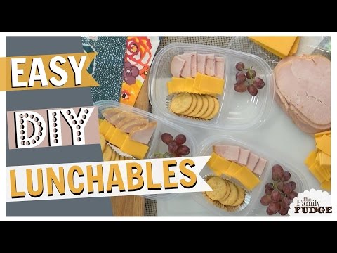 DIY Lunchables || REAL Food for Traveling || TheFamilyFudge