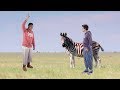 John Mayer - New Light (PREMIUM PARODY) MUST WATCH! John Mayer - New Light (PREMIUM PARODY) MUST WATCH!