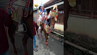 Download lagu Sumedang golden horse #shorts #horse #goldenhorse mp3 Download lagu Sumedang golden horse #shorts #horse #goldenhorse mp3