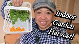 What Is AMAZING About Hydroponics Harvest?