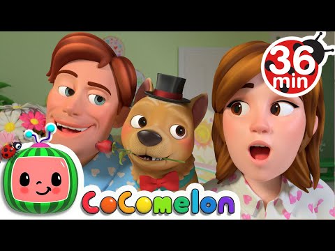 Video Play