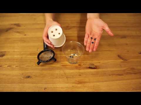 Make Quantum Dots science project