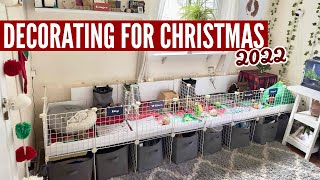 Decorating For Christmas | Petmas 2022