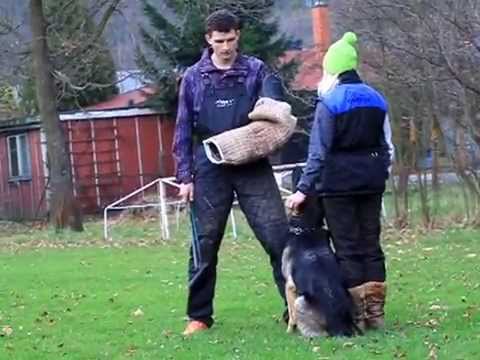 Keylla ze Slovanského domu - protection 12/2014