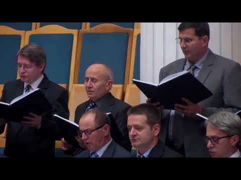 01.12.19 PM | Fr. P. Vidu "Potolirea furtunii" - Marcu 4: 35-41