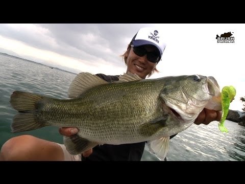 ハートテールで狙う秋の琵琶湖北湖★市村直之×河辺裕和 （Brush琵琶湖）