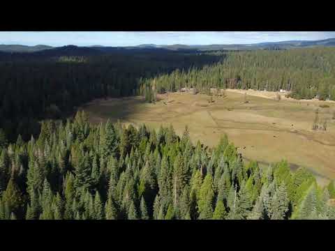 Butte Meadows (4K) 10-23-22