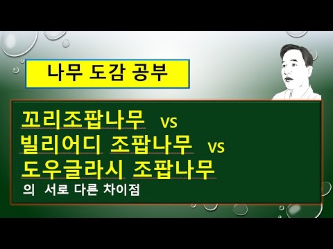 , title : '꼬리조팝나무 vs 빌리어디 조팝나무 vs 도우글라시 조팝나무의 서로 다른 차이점'