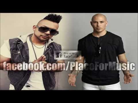 Sean Paul feat. Pitbull - She Doesn't Mind (Official Remix) New