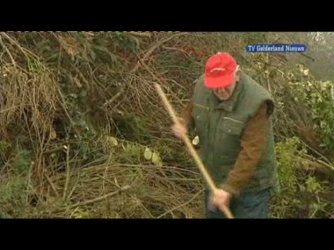 GLD Nieuws 3 april 2010 - Nieuws