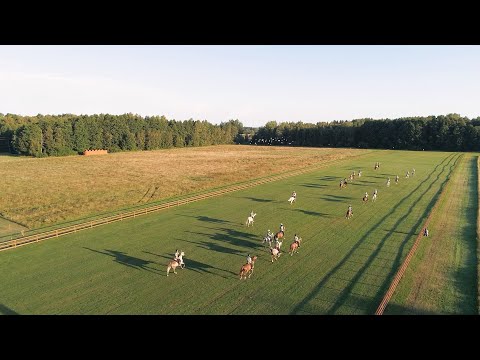 FEI Endurance World Championship for Young Horses - Padise 2023 - Ride Day