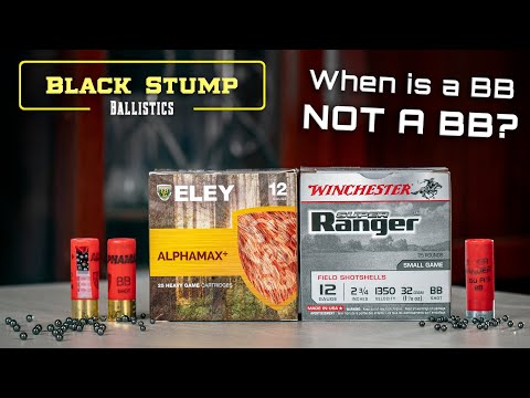 When is a BB not a BB? 12Ga shot shell basics