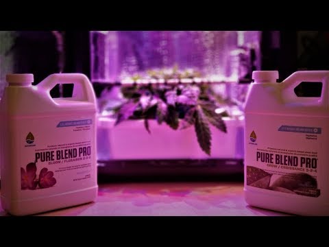 Indoor Hydroponic Grows: Day 23 - How to Prepare Nutrients
