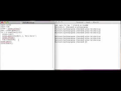 Python Curses Tutorial 4: Basic Animation
