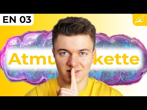 Atmungskette und ATP Synthase - einfach erklärt! // The ONLY Video you'll need ...