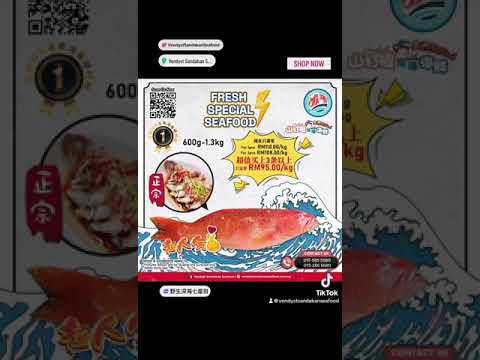 全西马最便宜, #山打根海鲜野生深海七星斑 600g-1.3kg