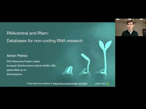 An overview of RNAcentral and Rfam databases for non-coding RNA