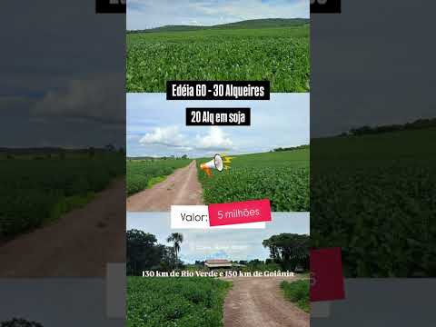 30 Alqueires em Edéia GO | whatsapp 62 99373-6407