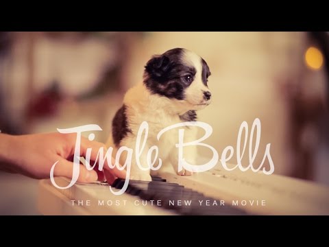 Jingle Bells українською (New Year 2018) – Шпилясті кобзарі (Ukraine)