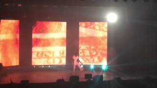 PURPLE REIGN TOUR CHICAGO