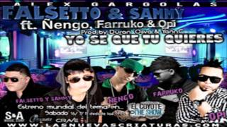 Yo Se Que Tu Quieres (Remix) - Falsetto &amp; Sammy Ft Ñengo, Farruko &amp; Opi ★HoyMusic.Com★