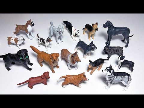 Dogs Collection - French Bulldog, Collie, German Shepherd, Labrador, Golden Retriever, Great Dane