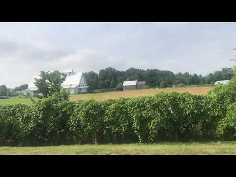 Psalm 47 & 48 ✝️ Praise to God, the Ruler of all the Earth