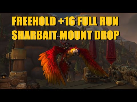 Bajheera - Freehold +16 ft. Sharkbait Drop! - 468 Fury Warrior Mythic+ (WoW BFA 8.3)