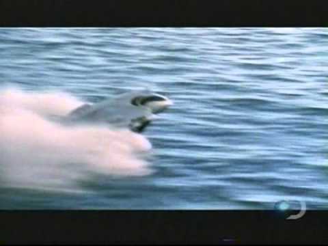 download lagu mp3 mp4 Futureship, download lagu Futureship gratis, unduh video klip Futureship