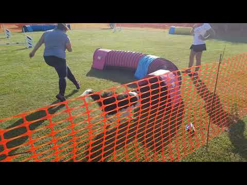 Sherlock első zsenge futam(1)