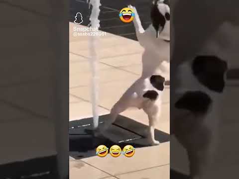 ggsvww. com+५=°°™®,,,.