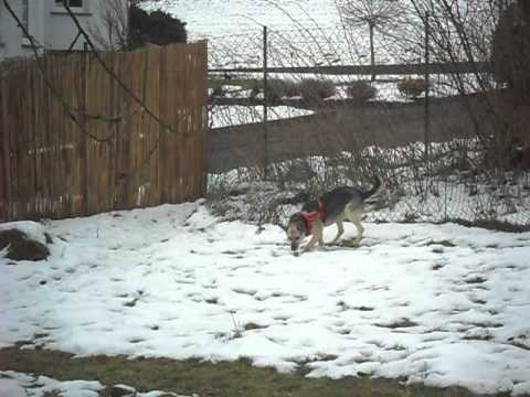 Tanja läuft fröhlich im Garten umher