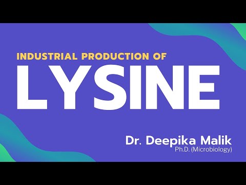 L-Valine Amide Hcl, L Valine Amide Hydrochloride BP EP USP