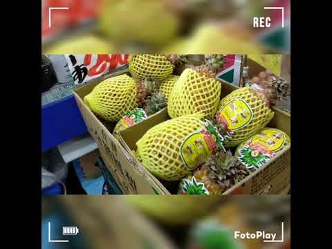 Cheapest Fruits and Veggies, found at Nishi Tokyo.