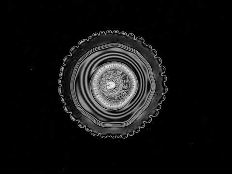 Liquid Droplets in Bloom