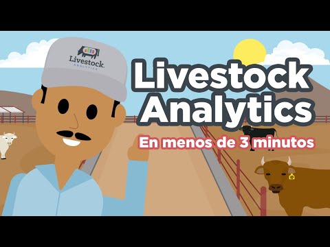 Livestock Analytics - Gerentes video thumbnail