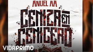 Anuel AA - Ceniza En Cenicero [Official Audio]