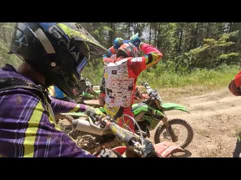 boi preto Rio dos cedros