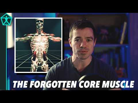 Trainieren Sie den Quadratus Lumborum für einen stärkeren Rücken und ECHTE funktionelle Kraft