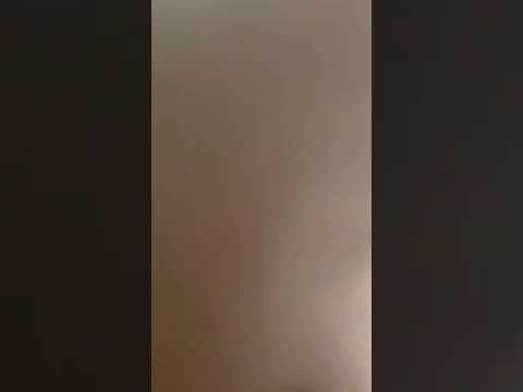 cat video song#cat#cat song#cat video#cat carton#shorts#viral#funny cat and kittens#amimals#ytshorts