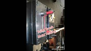 Test Toilet Brush Mold