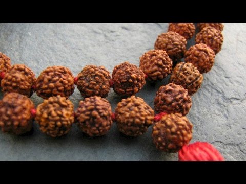 Rudraksha Mantra | Mantra Chanting Using Rudraksha Beads | Japa For Mental Peace