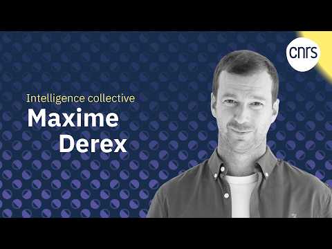 Maxime Derex, l’intelligence collective en héritage | Talents CNRS