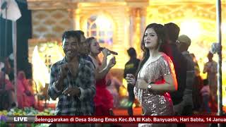Download lagu OM RAJAWALI MUSIC. RAMBATE RAHAYO. SEKDES DS LANGKAN. LIVE DESA SIDANG MAS. BANYUASIN III mp3 Download lagu OM RAJAWALI MUSIC. RAMBATE RAHAYO. SEKDES DS LANGKAN. LIVE DESA SIDANG MAS. BANYUASIN III mp3