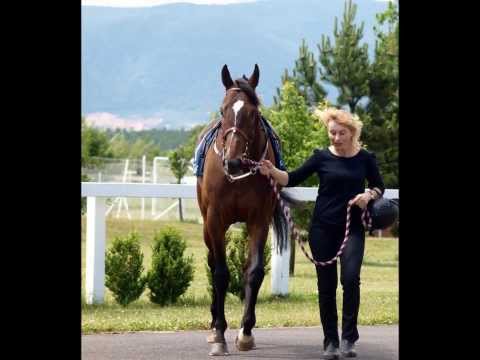 Hall Of Fame for Roches Cross..